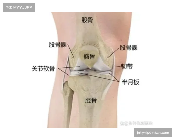 克雷桑左膝半月板韧带损伤持续缺阵 泰山进攻体系面临重构 克雷桑左膝半月板韧带损伤持续缺阵 泰山进攻体系面临重构